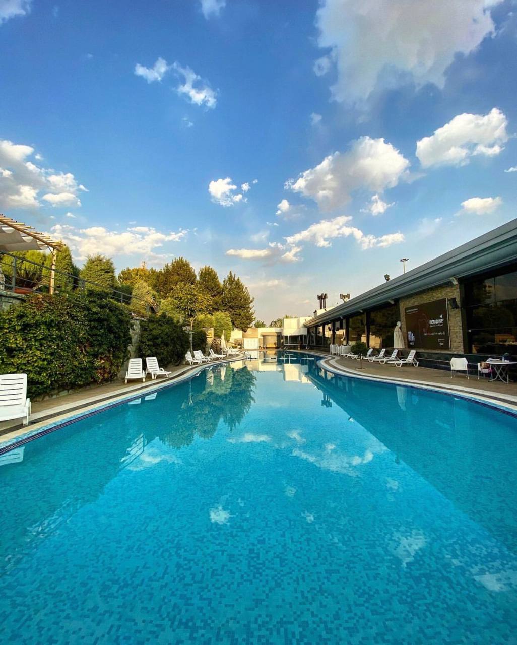 blueVisionPool (1)